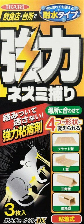 [7ȥ꡼P10] ͥ߶ ͥ Ǵ奷  ѿ塼DX 3 ɿ 