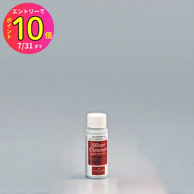 [7月エントリーでP10倍] 小林工業 ラッキーウッド シルバーケア シルバークリーナー 50ml(小) 単品 0-2..
