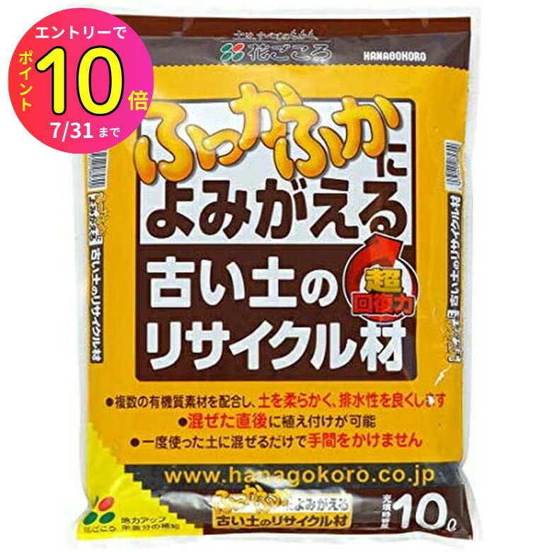 [7ȥ꡼P10] ںǸŤڤդäդˤߤ!!۸ŤڤΥꥵ 10L ֤