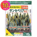 plantz:10187581のサンプル画像1
