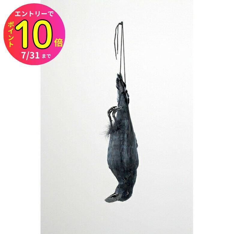 [7ȥ꡼P10] ߥĥ EG-38 䥬饹 ֥å Ļк к   Ļʡ饹褱ϥȤ褱