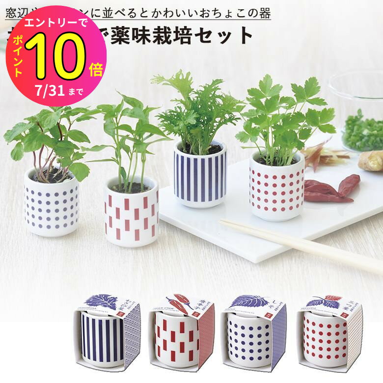 [7月エントリーでP10倍] 家庭菜園 GD-890 おちょこで薬味栽培セット 選べる4種類のバリエーション（しそ・唐辛子・わさび菜・三つ葉） 聖新陶芸