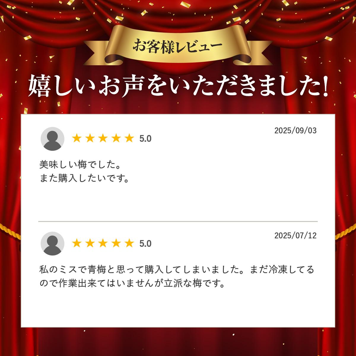 【冷凍青梅1kg】南高　 佐布里　白加賀　他品種混合　完熟梅　梅酒や梅シロップに...