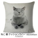 クッションカバー ロシアンブルー 猫 猫柄 ネコ 45x45cm リアル 写真 おしゃれ かわいい アニマル クッション インテリア ピローケース 雑貨 プレゼ...