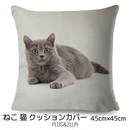 クッションカバー 猫 ブリティッシュショートヘア ネコ 猫柄 アイボリー 45x45cm おしゃれ かわいい アニマル クッション インテリア ピローケース 雑貨 メール便【 送料無料 】