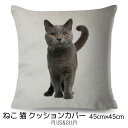 クッションカバー 猫 ブリティッシュショートヘア ロシアンブルー ねこ 猫柄 猫プリント ネコ 45x45cm おしゃれ かわいい アニマル クッション インテリア ピローケース 雑貨 メール便【 送料無料 】