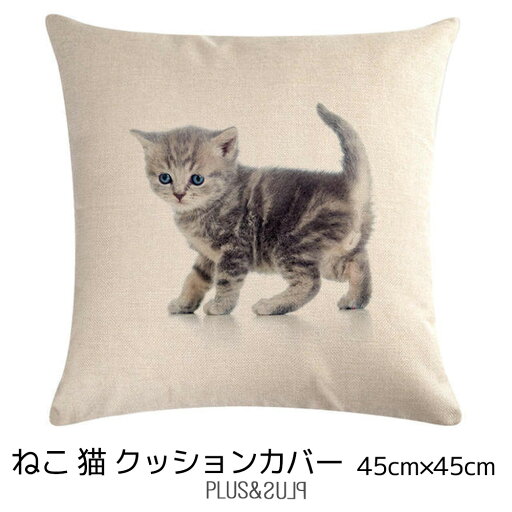クッションカバー アメショー アメリカンショートヘアー 子猫 猫 ネコ 45x45cm おしゃれ かわいい アニマル クッション リアル インテリア ピローケース 雑貨 プレゼントメール便【 送料無料 】 クッションカバー アメショー アメリカンショートヘアー 子猫 猫 ネコ 45x45cm おしゃれ かわいい アニマル クッション リアル インテリア ピローケース 雑貨 プレゼントメール便【 送料無料 】