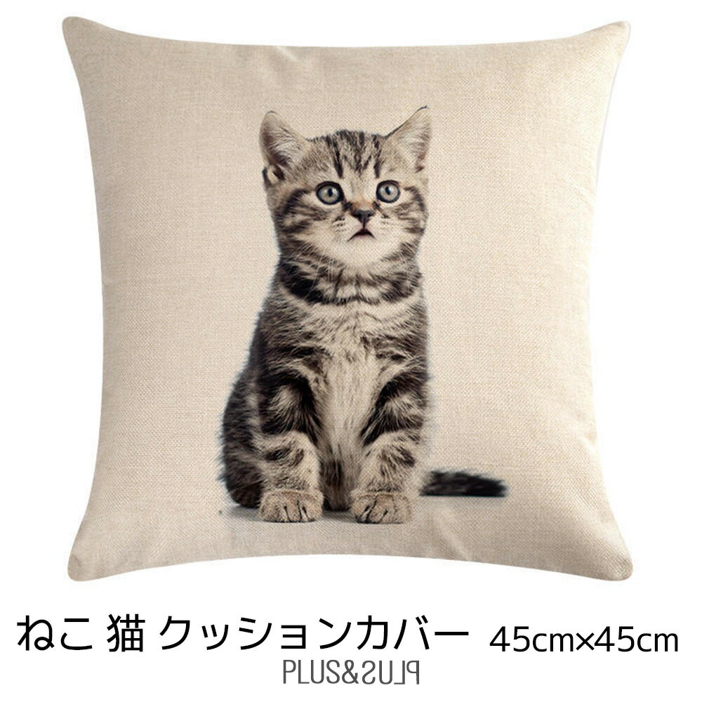 クッションカバー ねこ アメショー シルバー 猫 ネコ 子猫 45x45cm おしゃれ かわいい アニマル クッション インテリア ピローケース 雑貨 メール便【 送料無料 】