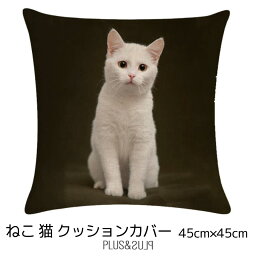 クッションカバー 白猫 しろねこ シロネコ 猫 ネコ 45x45cm おしゃれ かわいい アニマル クッション インテリア ピローケース 雑貨 メール便【 送料無料 】