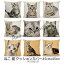 クッションカバー アメリカンショートヘア アメショー 猫柄 猫 ネコ 45x45cm おしゃれ かわいい アニマル クッション インテリア ピローケース 雑貨 メール便【 送料無料 】 1,980円