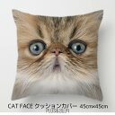 クッションカバー ぶさかわ猫 はなぺちゃ猫 ネコ 猫 ねこ 45x45cm リアル おしゃれ かわいい アニマル クッション インテリア ピローケース 雑貨 メ...