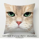 クッションカバー ねこ 猫 ネコ 猫柄 顔アップ リアル 45x45cm おしゃれ かわいい アニマル クッション インテリア ピローケース 雑貨 メール便【 ...