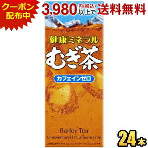 4日20時〜エントリーでP5倍★【あす楽】伊藤園 健康ミネラルむぎ茶 250ml紙パック 24本入 (麦茶)