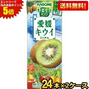 エントリーで全品ポイント5倍！あす楽対応 【送料無料】カゴメ 野菜生活100 愛媛キウイミックス 195ml紙パック 48本(24本×2ケース) [野菜ジュース] ※北海道800円・東北400円の別途送料加算 [39ショップ]のサムネイル
