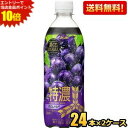 エントリーで当店全品ポイント10倍★【送料無料】アサヒ 三ツ矢 特濃グレープスカッシュ 500mlペットボトル 48本(24本×2ケース) 三ツ矢サイダー ポリフェノール入り ※北海道800円・東北400円の別途送料加算