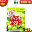 エントリーで当店全品ポイント10倍★【送料無料】ハウスウェルネス パーフェクトビタミン 1日分のビタミンゼリー マスカット味 180gパウチ 24個入 [栄養機...