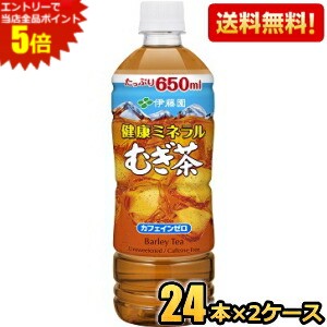 エントリーで全品ポイント5倍★【送料無料】伊藤園 健康ミネラルむぎ茶 650mlペットボトル 48本(24本×2..