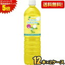 エントリーで全品ポイント5倍★【送料無料】伊藤園 Relaxジャスミンティー 1Lペットボトル 24本(12本×2ケース) リラックスジャスミンティー スリムボトル ※北海道800円・東北400円の別途送料加算