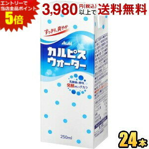 エントリーで全品ポイント5倍★エルビー カルピスウォーター 250ml紙パック 24本入