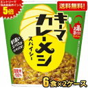 エントリーで全品ポイント5倍★【送料無料】日清 105gキーマカレーメシ スパイシー 12食(6食×2ケース) カレー飯 ごはん カップライス カレーライス ※北海道800円・東北400円の別途送料加算