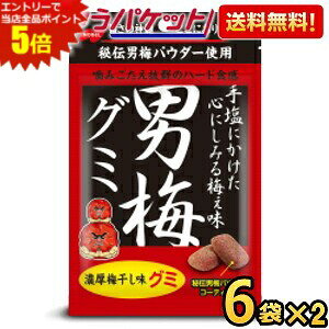 エントリーで当店全品ポイント5倍★ゆうパケット送料無料 ノーベル 男梅グミ 41g×12...