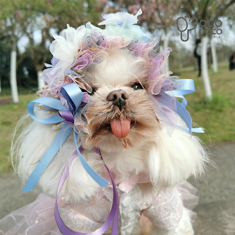 ���� �� �ڥå� �����ǥ��󥰥١��� �������ǥ��󥰥١��� ���뺧�١��� �ֲǰ������塼��١��� �إ����������꡼ �ե����ޥ� �ڥåȥ����ǥ��󥰥��������꡼ ������� �������