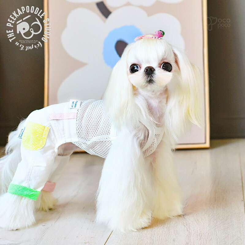 楽天職人手作り犬服のポコポコ犬服 春 小型犬 可愛い ペット服 ペットウェア サロペット ロンパース オーバーオール クレイジーパターン パステルカラー