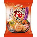 ホンダ製菓 紀州の梅あげ 45g×12入