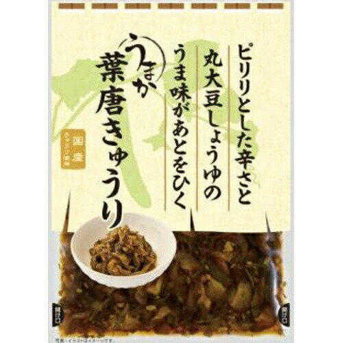 新進 うまか葉唐きゅうり 10袋