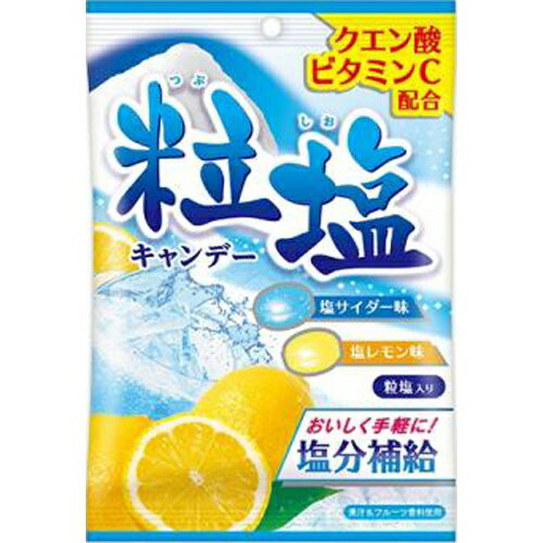 キャンディ 扇雀飴本舗 粒塩キャンデー 50g×10袋