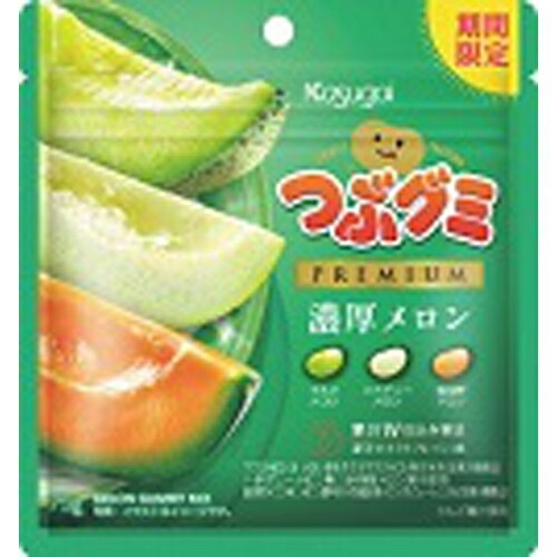 春日井 つぶグミPREMIUM 濃厚メロン 10袋 1