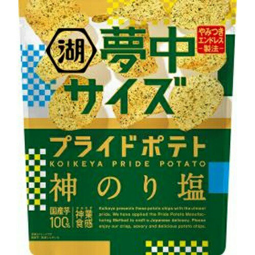 楽天菓子の新商品はポイポイマーケット湖池屋 夢中サイズ プライドポテト 神のり塩 102g×12袋（4月上旬頃入荷予定）