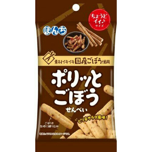ぼんち ポリっとごぼうせんべい 33g×10袋