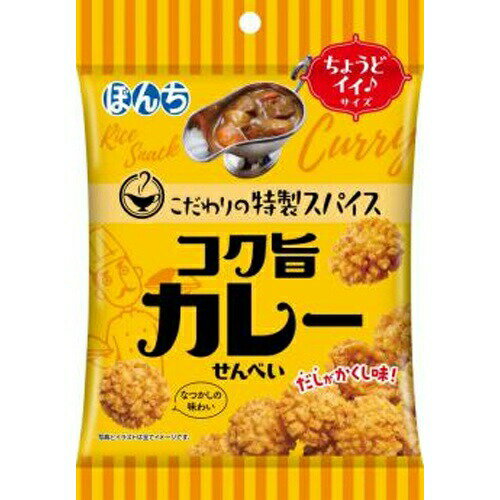 ぼんち コク旨カレーせんべい 55g×10袋