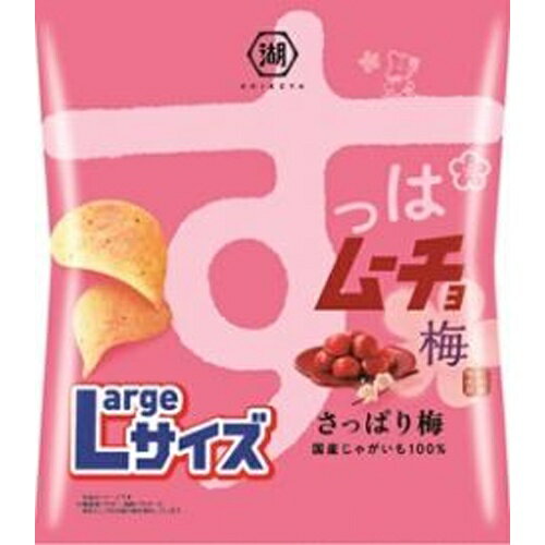 楽天菓子の新商品はポイポイマーケット湖池屋 Largeサイズ すっぱムーチョ さっぱり梅 108g×12袋（7月下旬頃入荷予定）