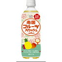 不二家 南国スカッシュ P500ml×24本(7月下旬頃入荷予定)