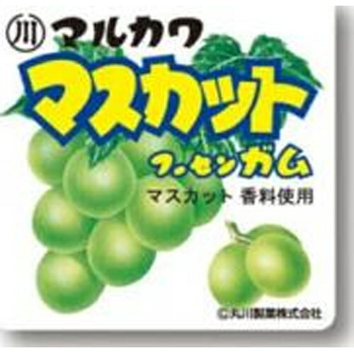 楽天菓子の新商品はポイポイマーケット丸川製菓 マスカットフーセンガム 24個（9月上旬頃入荷予定）