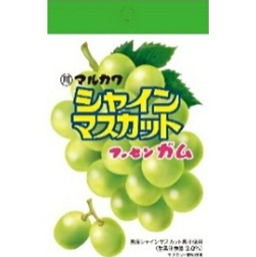 楽天菓子の新商品はポイポイマーケット丸川製菓 シャインマスカットフーセンガム チャック袋 10袋（9月中旬頃入荷予定）