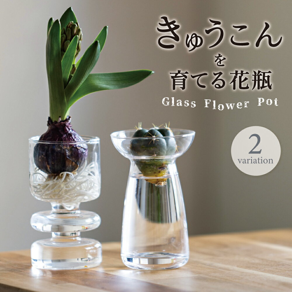 ＼コンパクトで生けやすい／【球根を育てる花瓶】球根栽培 水耕栽培 水栽培 球根 苔玉 多肉植物 花瓶 一輪挿し ガラス おしゃれ 花びん 癒し インテリア 花 コンパクト 小さい ミニ 花器 フラワーベース 水耕栽培 贈り物 癒しグッズ かわいい 誕生日 プレゼント 母の日のサムネイル