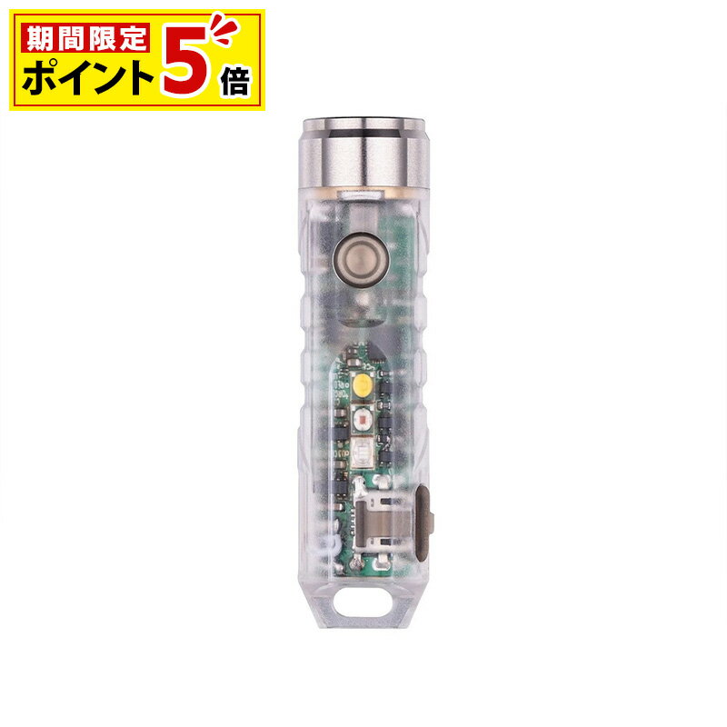 RovyVon ロビーボン Aurora A8（第4世代モデル）オーロラA8x 正規品 コンパクト 軽量 明るい UVライト 焚火 ランタン 緊急用 防災ライト 釣り フィッシング 渓流釣り ハイキング トレラン 登山 ウォーキング キャンプ グラベル バイクパッキング 自転車