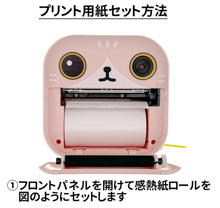 ���å� �ץ��ȥ�������ѥ������ 4�ܥ��å� ���ƥå�����Ǯ�� �쥸������� �����ޥ������� 57x30mm