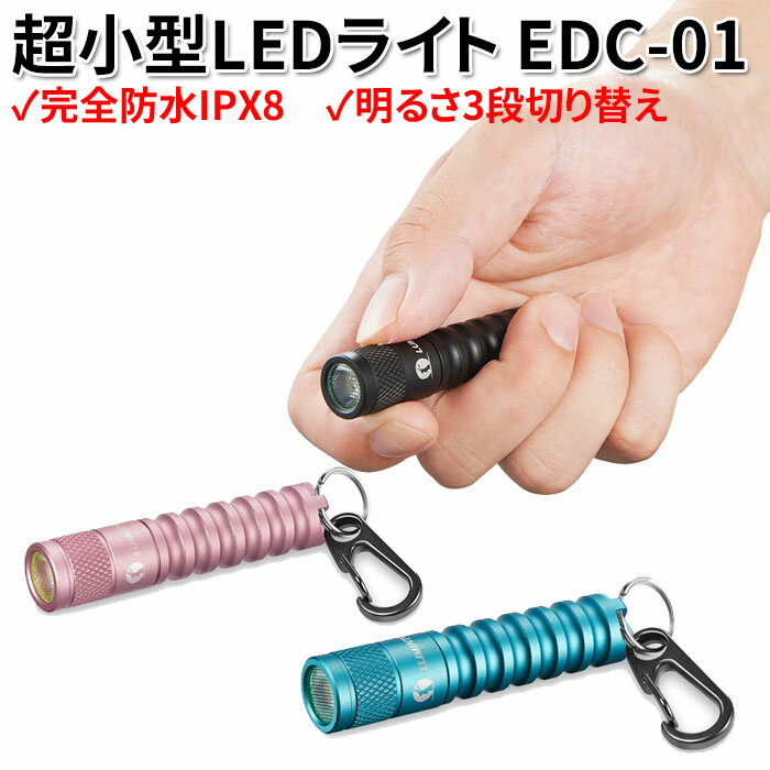 懐中電灯 LED 強力 ライト LEDライト 軽量 小型 防災 災害 グッズ キャンプ 防災 防水 ミニライト キーホルダー ルミントップ EDC01