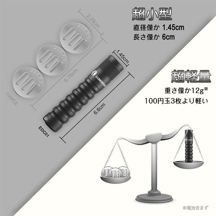 懐中電灯 LED 強力 ライト LEDライト 軽量 小型 防災 災害 グッズ キャンプ 防災 防水 ミニライト キーホルダー ルミントップ EDC01 2