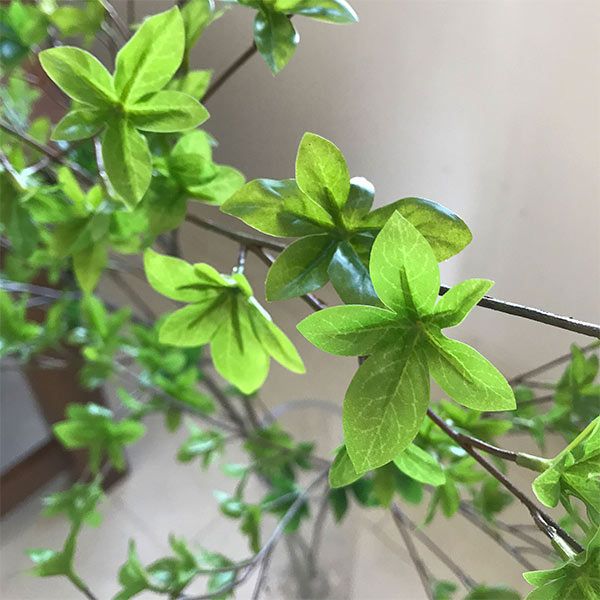 人工観葉植物 本物そっくり お世話いらずのお洒落なフェイクグリーンのおすすめランキング わたしと 暮らし