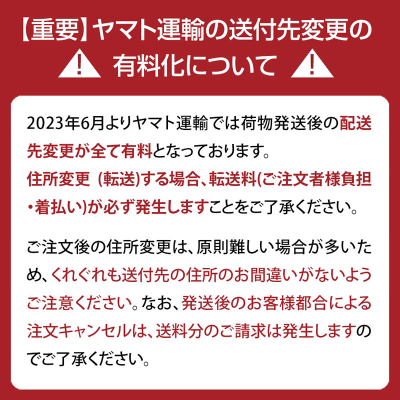 ダイヤモンドパワー16ml大容量2倍タイプ大型サイズLCN公式認定店正規品トップコートベースコート速乾性マニキュアすぐに乾くサロンワーク使用品使い方説明書付き