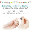 【楽天5部門1位】ネイルオイル キューティクルオイル ネイルケア専門店 天然成分100％ 石油系0％ 爪 本気ネイルケアオイル 美容オイル 20ml 二枚爪 甘皮 ささくれ 敏感肌 乾燥肌 さらっと 無香料 サロン専売品 全身使用可 子供可 オーガニック 未精製オイル ヴィーガン化粧品 3