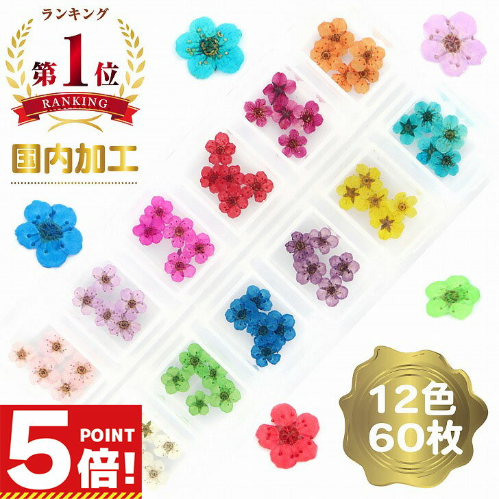 【P5倍!お買い物マラソンCPあり】 ドライフラワー 上質 押し花 素材 パーツ こでまり 60枚 セット 【 ..