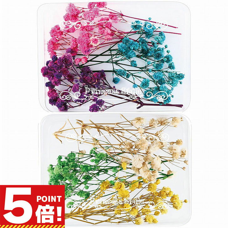 【P5倍!お買い物マラソンCPあり】 かすみ草 咲いた花 ドライフラワー ハンドメイド用 小分け 花材 6色/セット 【 レジン封入 封入素材 花素材 封入 ハーバリウム レジン アクセサリー パーツ 花 花材 封入パーツ レジンパーツ レジン材料 レジン素材 かすみそう 】