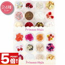 【P5倍!お買い物マラソン クーポンあり】 レジン 封入 パーツ 花 ドライフラワー 押し花 アクセサリーパーツ 24種類セット ( 雪の結晶 & エレガント )【 ハンドメイド 親子 UVレジン レジンクラフト レジン封入 レジン 素材 材料 封入パーツ 手作り 】