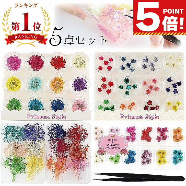 【スーパーSALE 10%オフ P5倍!】 ドライフラワー 押し花 詰め合わせ セット【 ハンドメイド 親子 レジン 花材 素材 材料 封入 パーツ アクセサリー かすみ草 小さい 小さな 花 小分け 封入素材 花素材 ネイル 封入パーツ レジンパーツ レジン材料 レジン素材 】